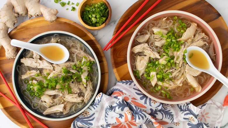 chicken and noodle soup with green onions